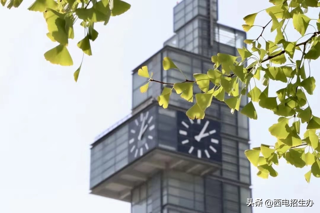 第二批陕西高校名师名单,陕西百家媒体聚焦