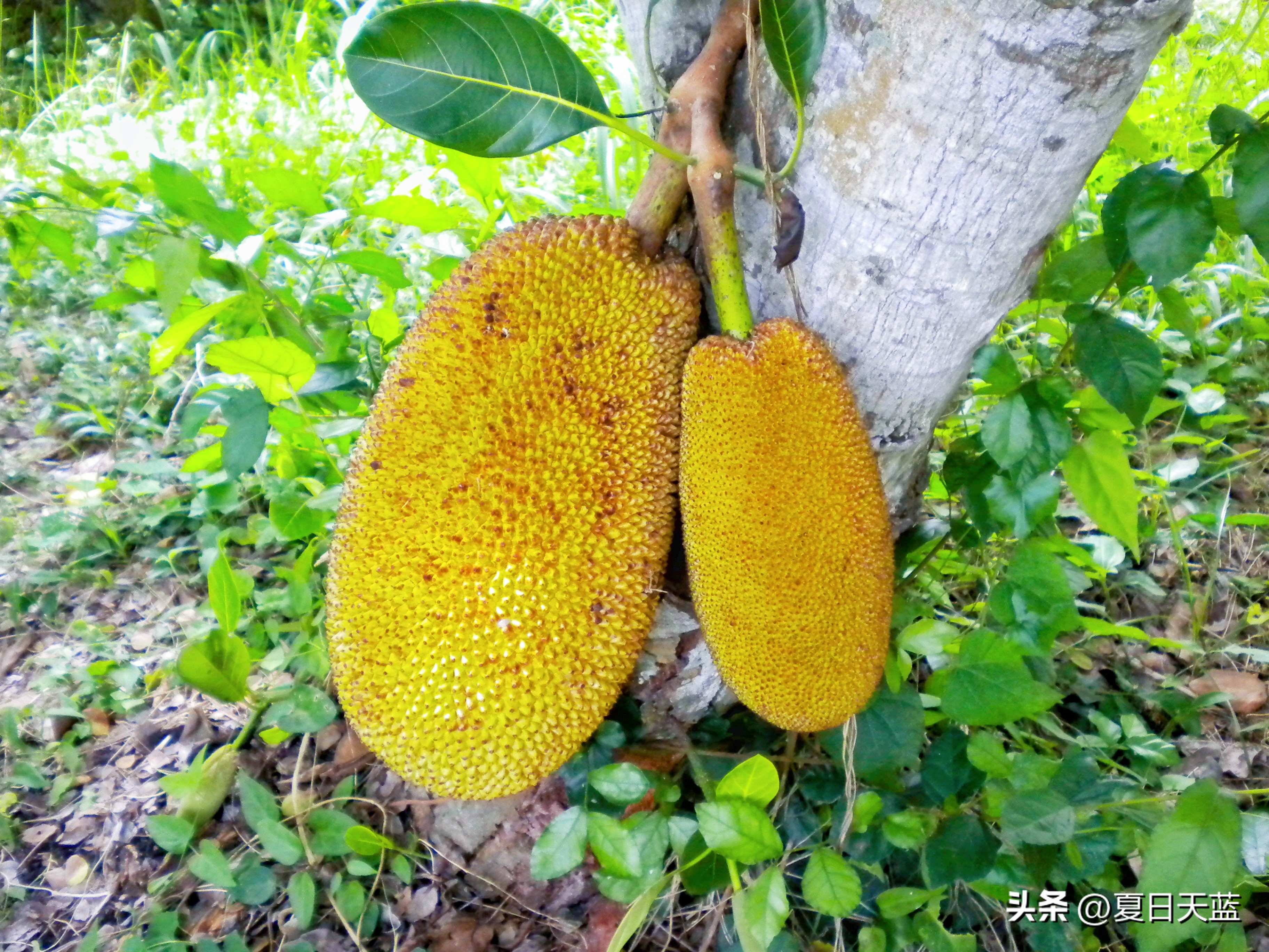 行走东南亚泰国,豪华不一样的东南亚之旅了解一下