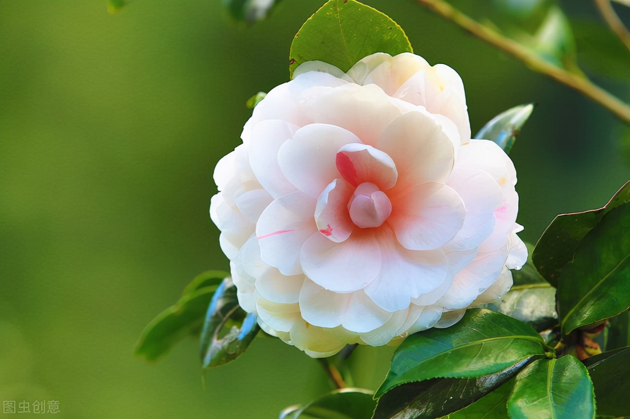 部编版二年级语文下册单元复习题,部编二年级语文下册三单元试卷