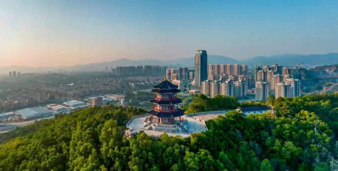 与春天撞个满怀的意思是什么,在棠梨湖公园邂逅春天