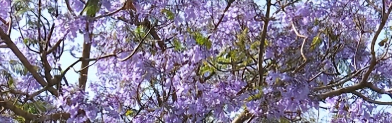 何必远游，昆明这些路上的美景就美呆