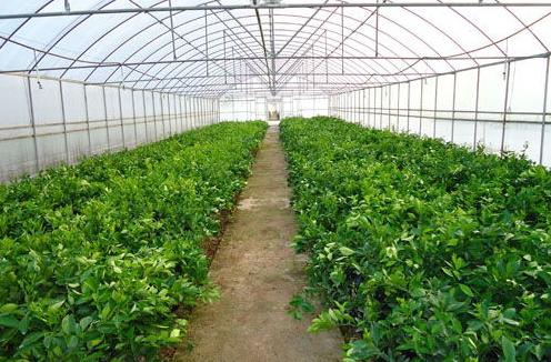 农村小伙靠200赚到2个亿,农村80后小伙回乡创业年入三十万