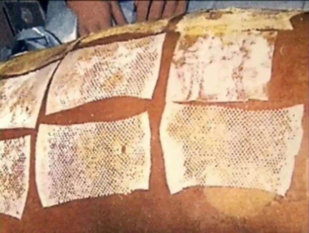 有关日本核辐射的最新情况,日本核辐射的恐怖之处