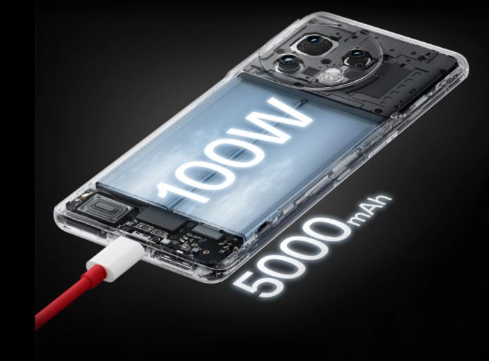 养猫必备好物清单,不贵又实用的养猫好物分享