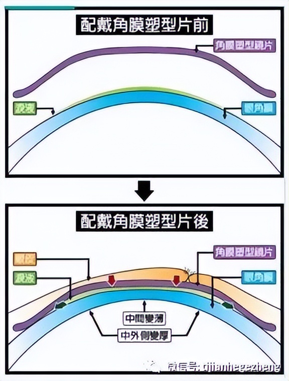 飞行员能戴偏光太阳镜吗,飞行员眼镜是偏光眼镜吗