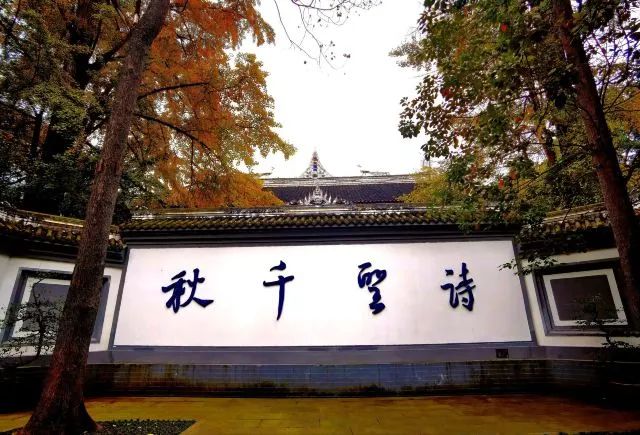 四川成都旅游攻略大全,成都旅游攻略带小孩自由行攻略