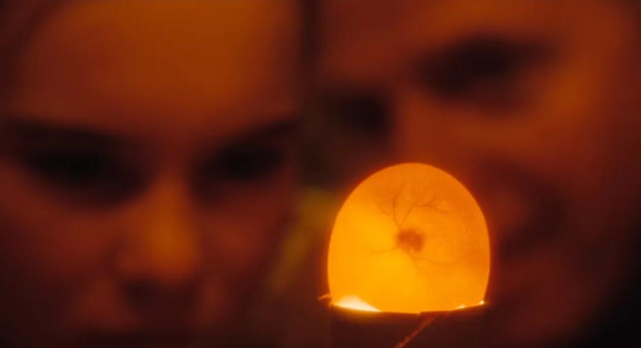 怦然心动家庭教育,怦然心动女孩对男孩说的话