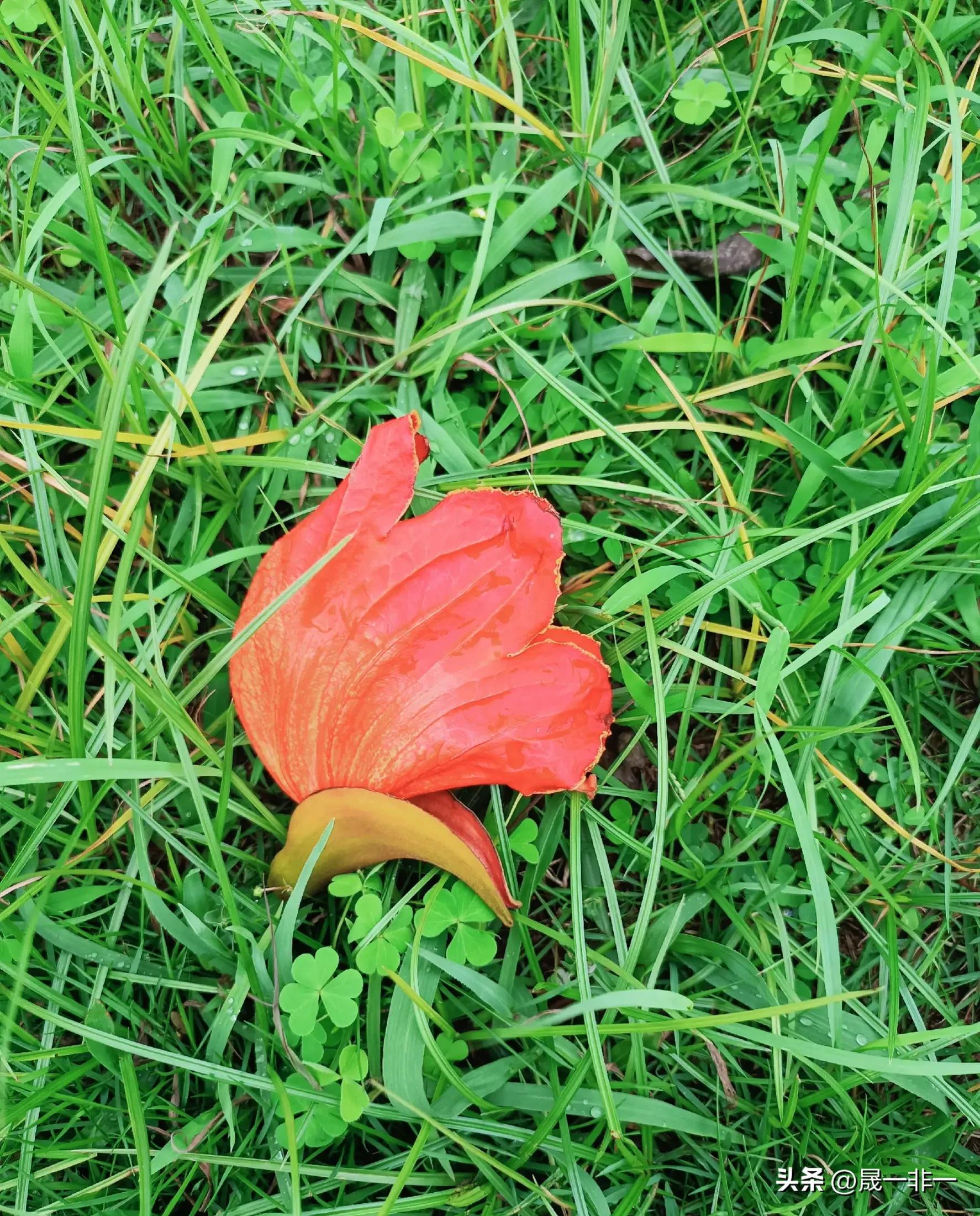 20天宝宝拉绿色的便便是什么原因,宝宝拉绿色便便什么原因该怎么办