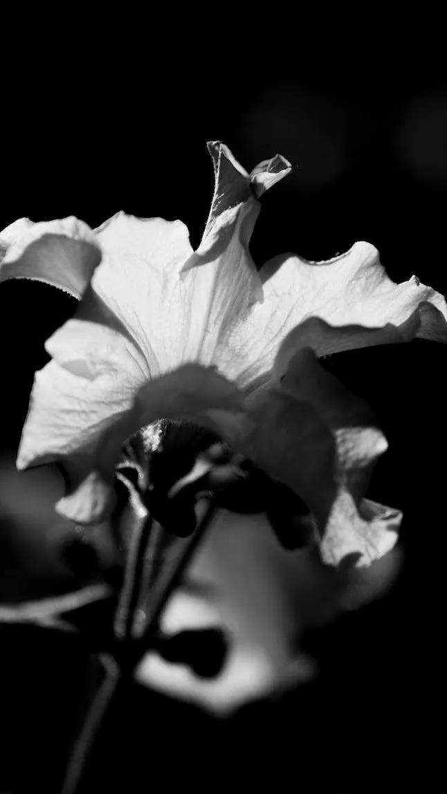 黑暗系的壁纸文字,黑暗色系的壁纸