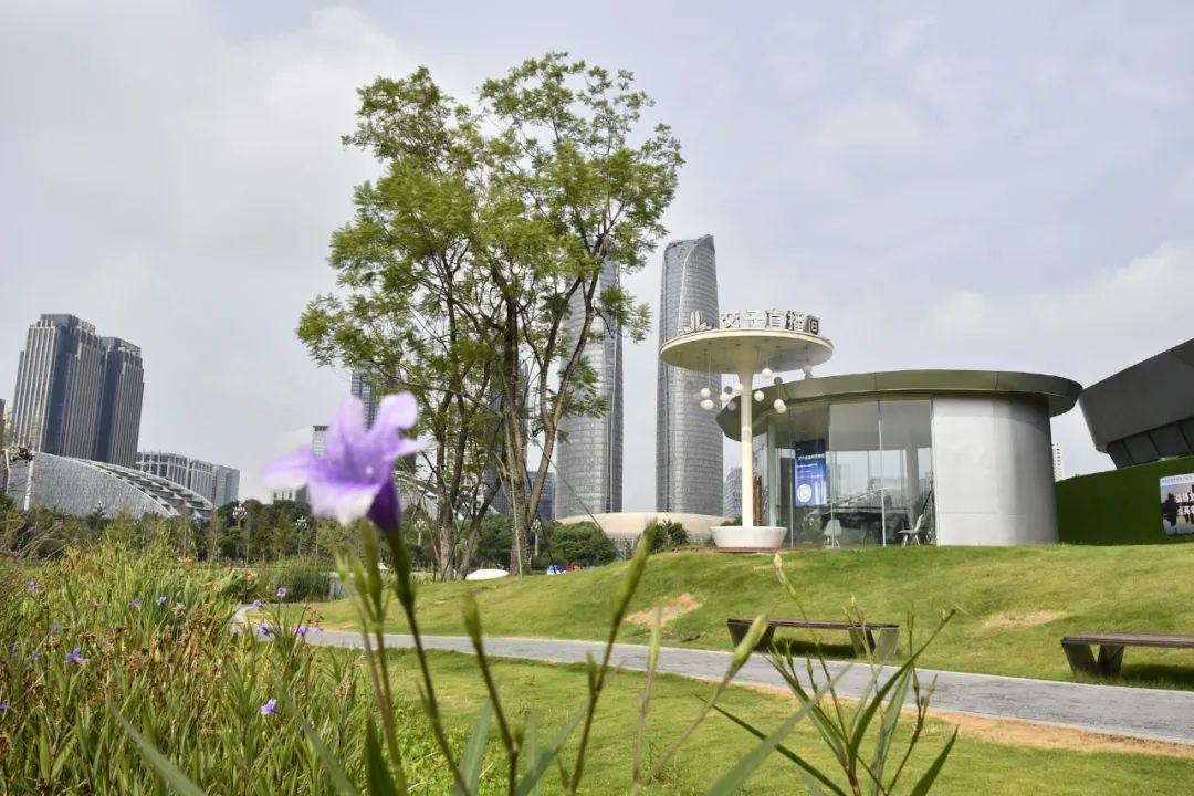 10个城市宝藏,成都还有哪些宝藏公园