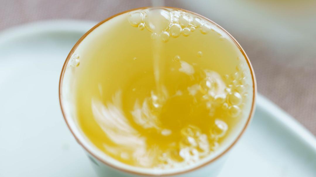 内含物质高达52％的茶种，竟然在云南？|2023茶山播报06