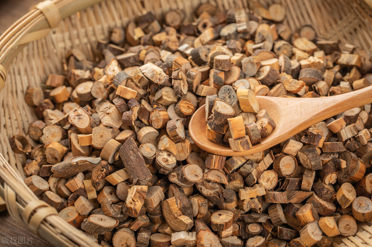 全国中医治疗精索静脉曲张的方子,精索静脉曲张中医辨证方剂