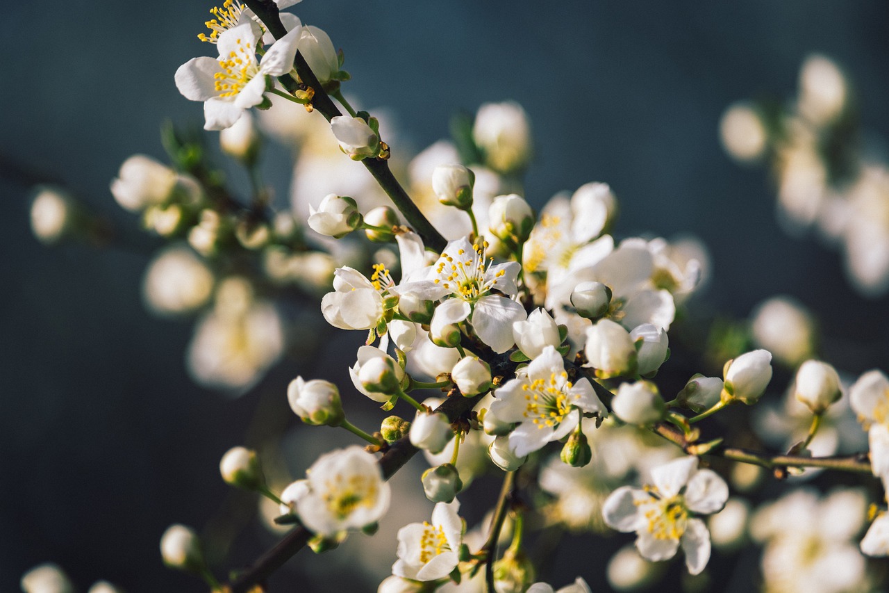 心理学家对爱情的感悟,心理学家真正的爱情只有3种模式