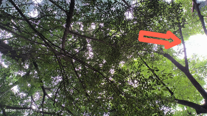 redminote11pro1799元,redminote11tpro799元