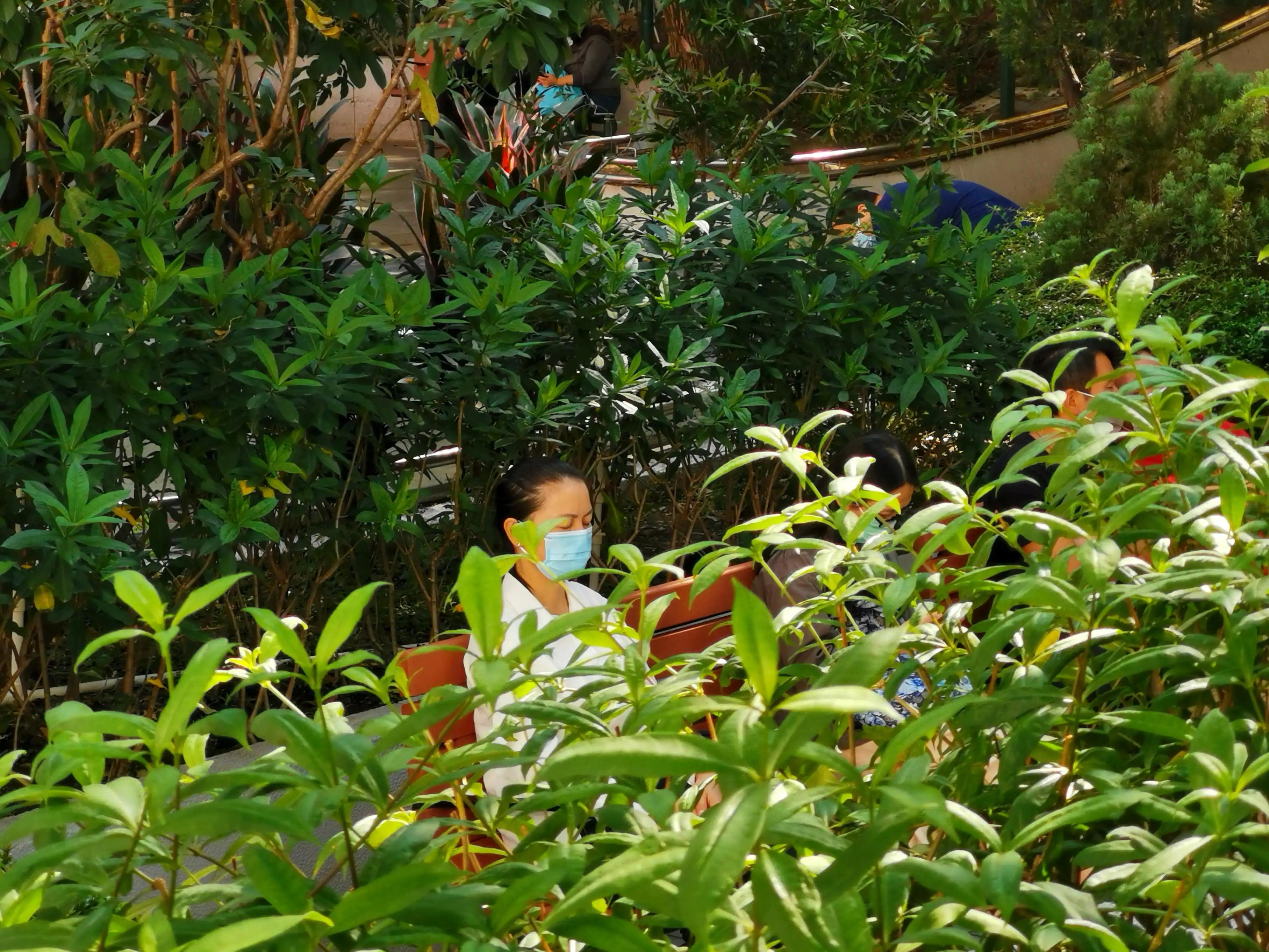 香港的城市空间布局,香港的城市屋