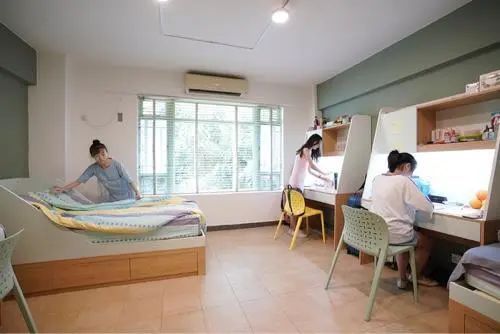 艺术生留学首选：澳门科技大学2023内地本科招生简章解读