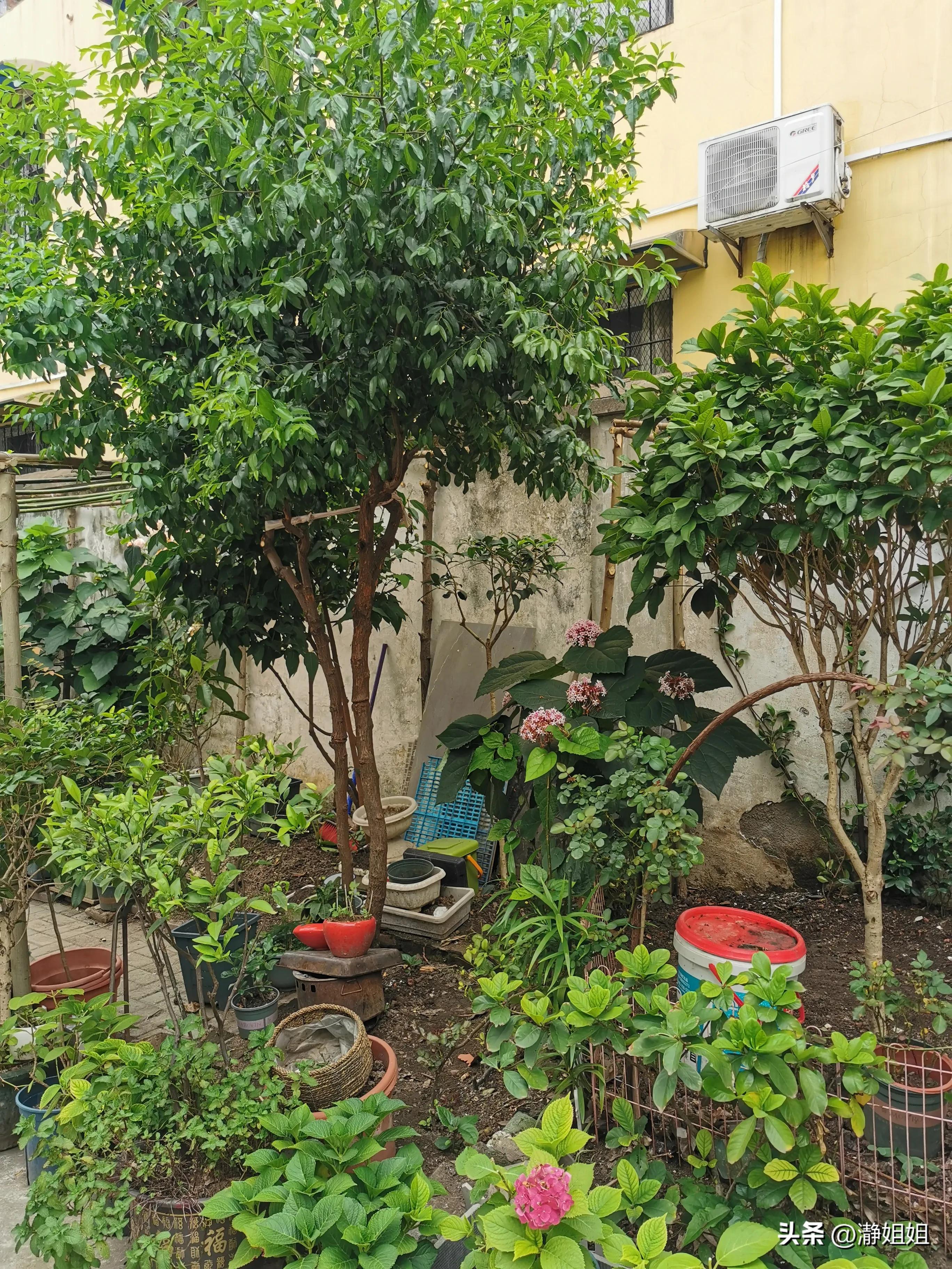 汉阳火车站网红站前花街,汉阳火车站站前花街位置