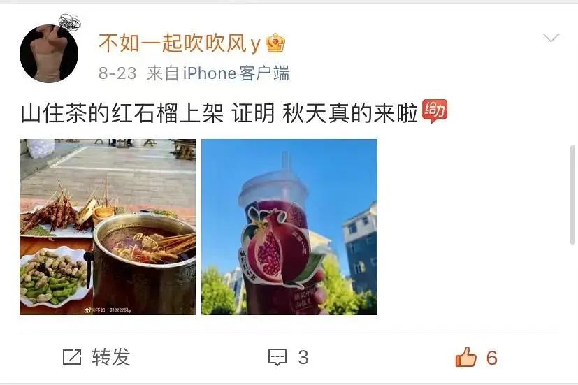 山住茶新品测评,山住茶杨梅系列测评