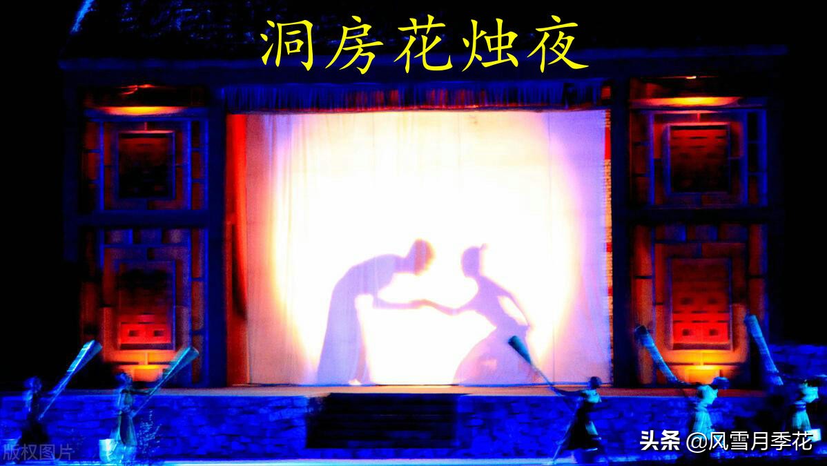 金蝉的品种的叫声,金蝉怎么鸣叫