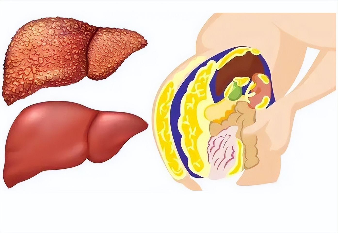 睡得越死睡眠质量越好吗,睡得越早睡眠时间短