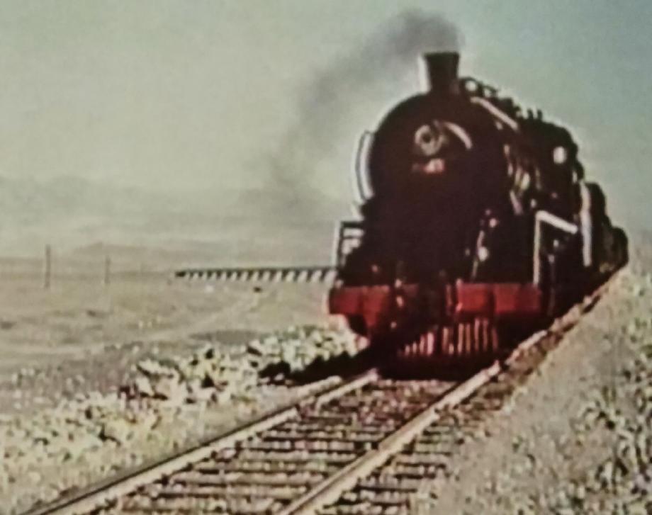 这首童谣背后藏着惊天秘密：小皮球，架脚踢，马兰开花二十一