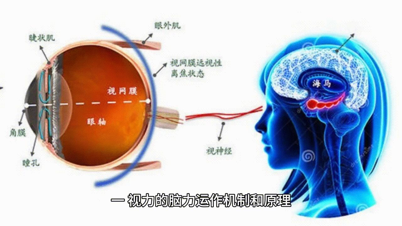 大脑天赋训练方法,五个技巧提升大脑智商