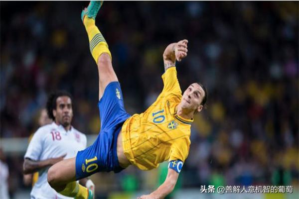 世界超远进球,世界十大超远头球