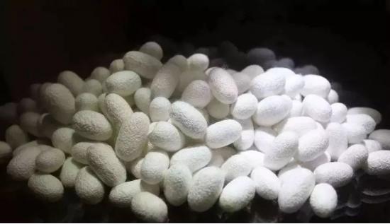 什么样的蚕丝被可以水洗,蚕丝被可水洗的好吗