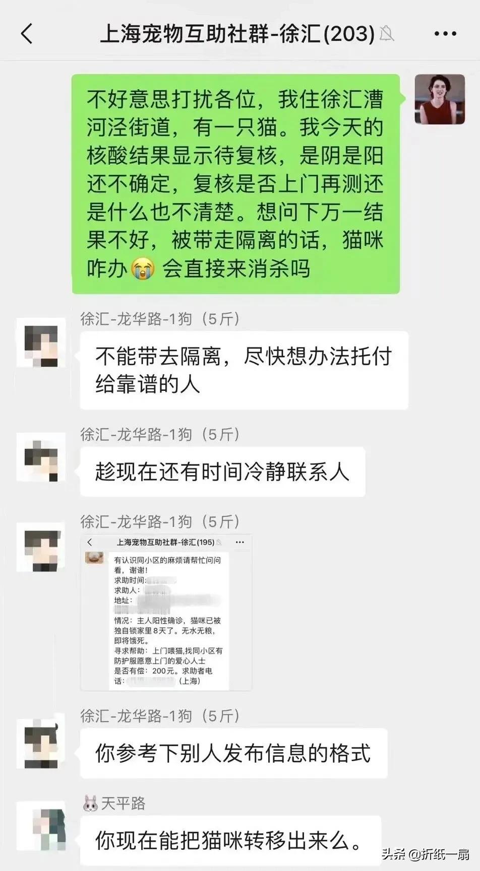 主人核酸阳性宠物怎么处理,主人阳性宠物会怎么处理