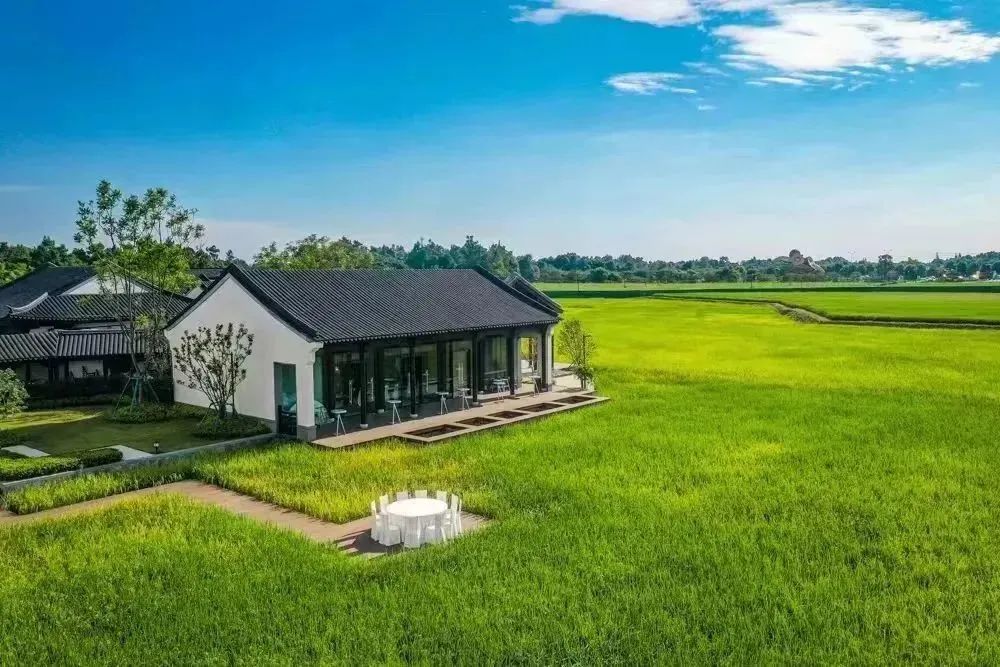 成都新津十大旅游景点有哪些,成都新津旅游攻略自由行攻略