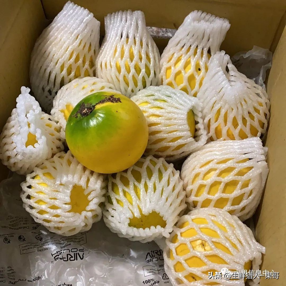 #奇异水果知多少#椰柿、黄晶果、冰淇淋果、巧克力布丁果等