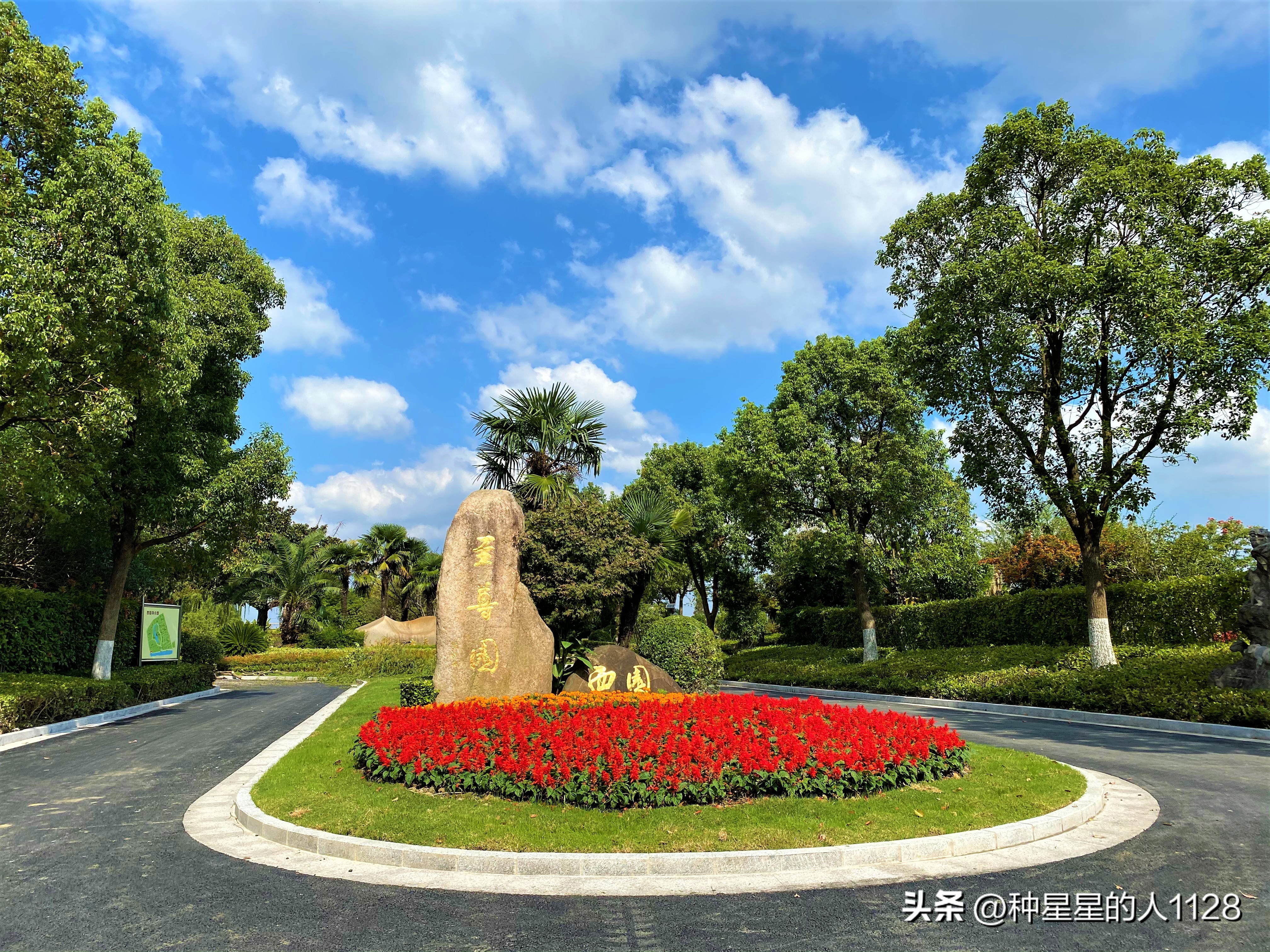 上海墓园树葬和壁葬的价格,上海松鹤墓园今天扫墓有何规定