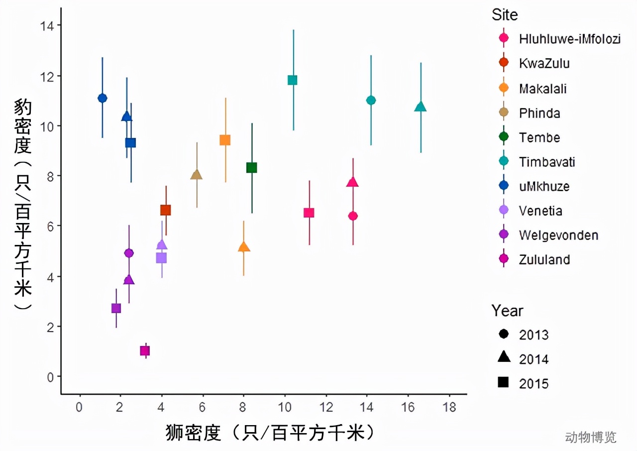 豹子丧命,豹子的悲惨下场视频