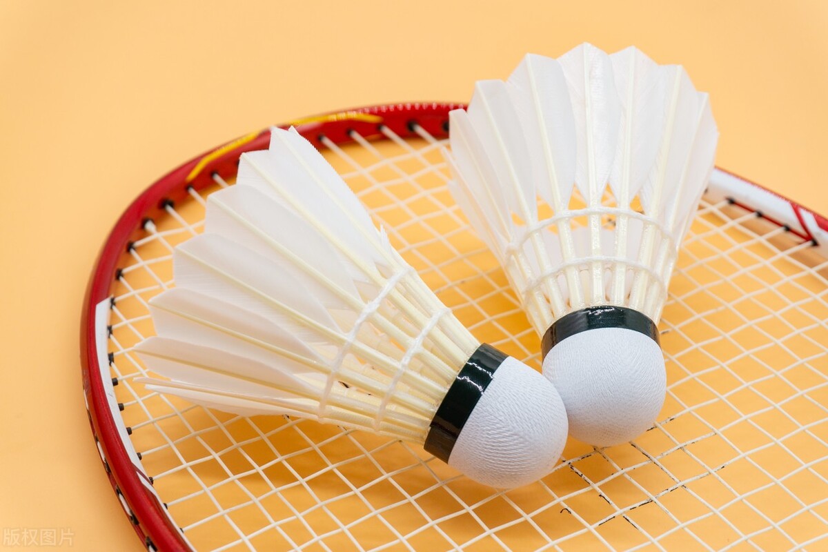 十大最佳入门羽毛球拍排名,入门羽毛球拍推荐10款