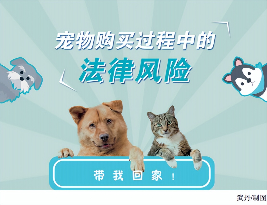 宠物店买狗死了怎么索赔,宠物店买的狗三天死了能维权吗