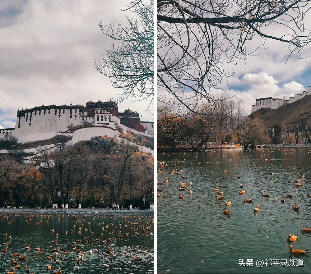 布达拉宫旅游攻略讲解大全集,雪域圣境布达拉宫旅游攻略