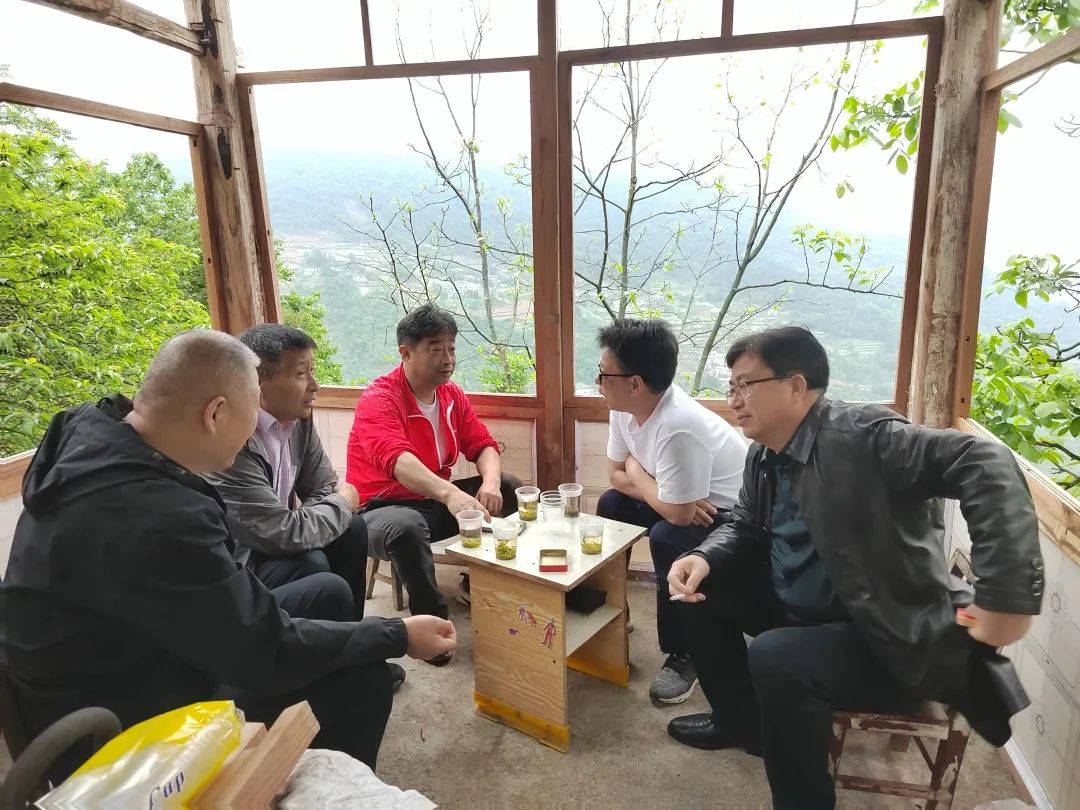 相聚仍是青年——记情系四中群友聚