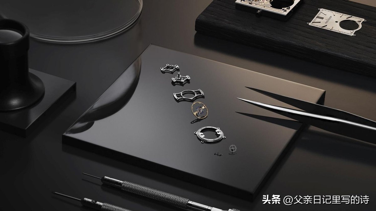 pp鹦鹉螺腕表,鹦鹉螺手表哪一款好看