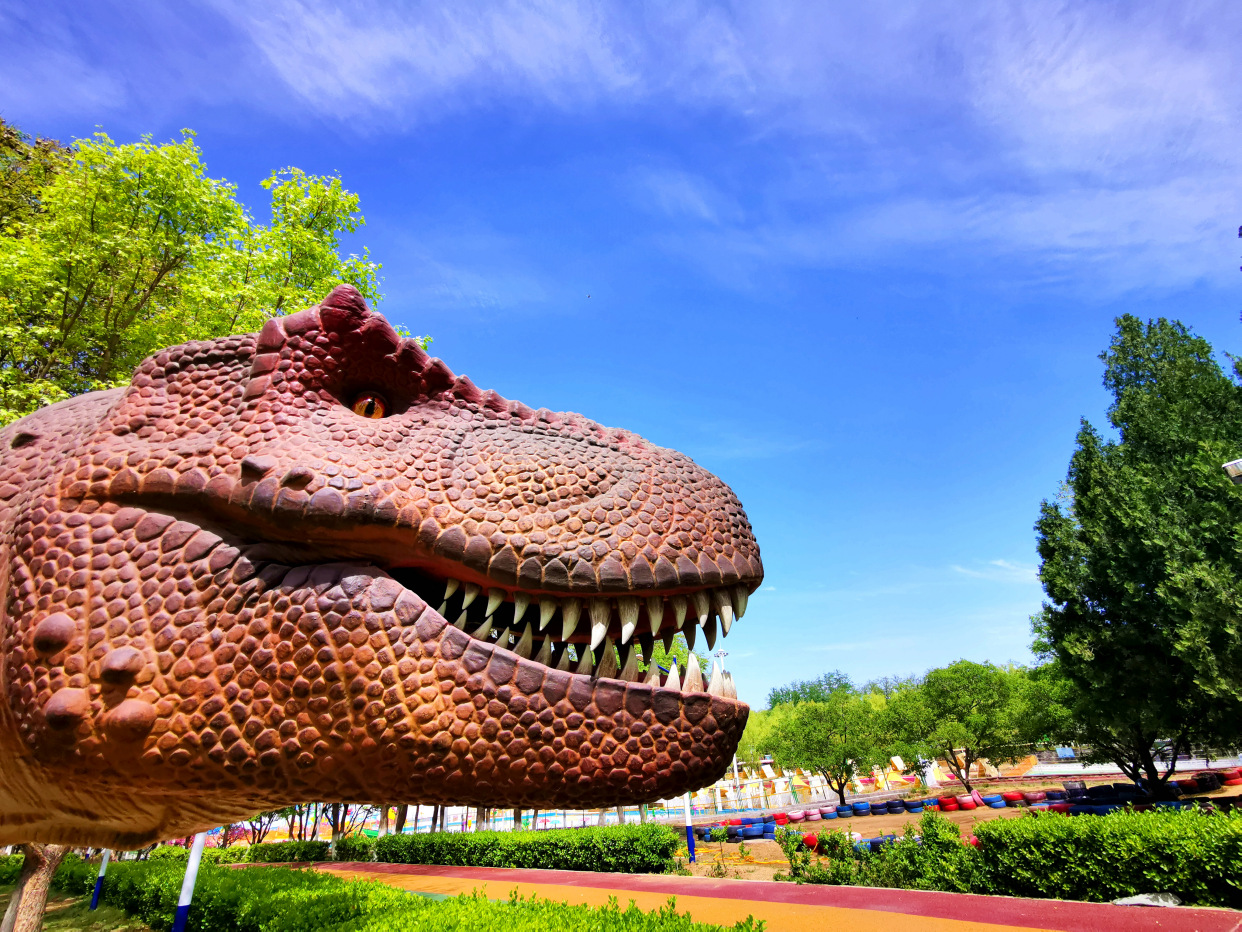 青龙湖公园网红打卡,丰台王佐青龙湖公园门票