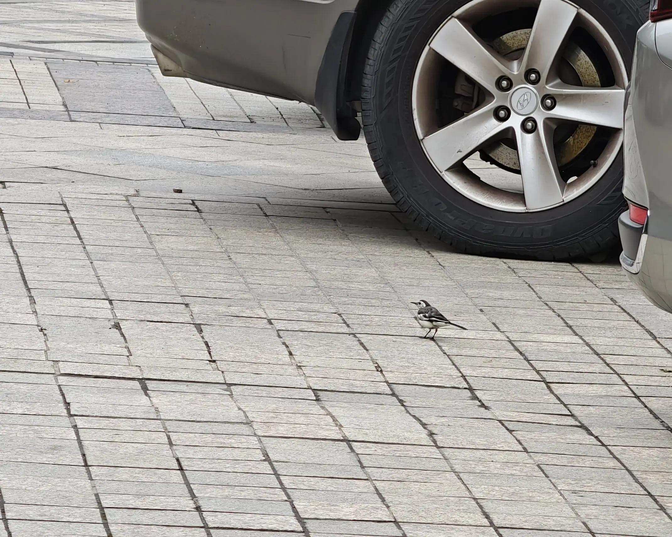 如何以身作则当好管理表率,亮剑教你如何做优秀管理者