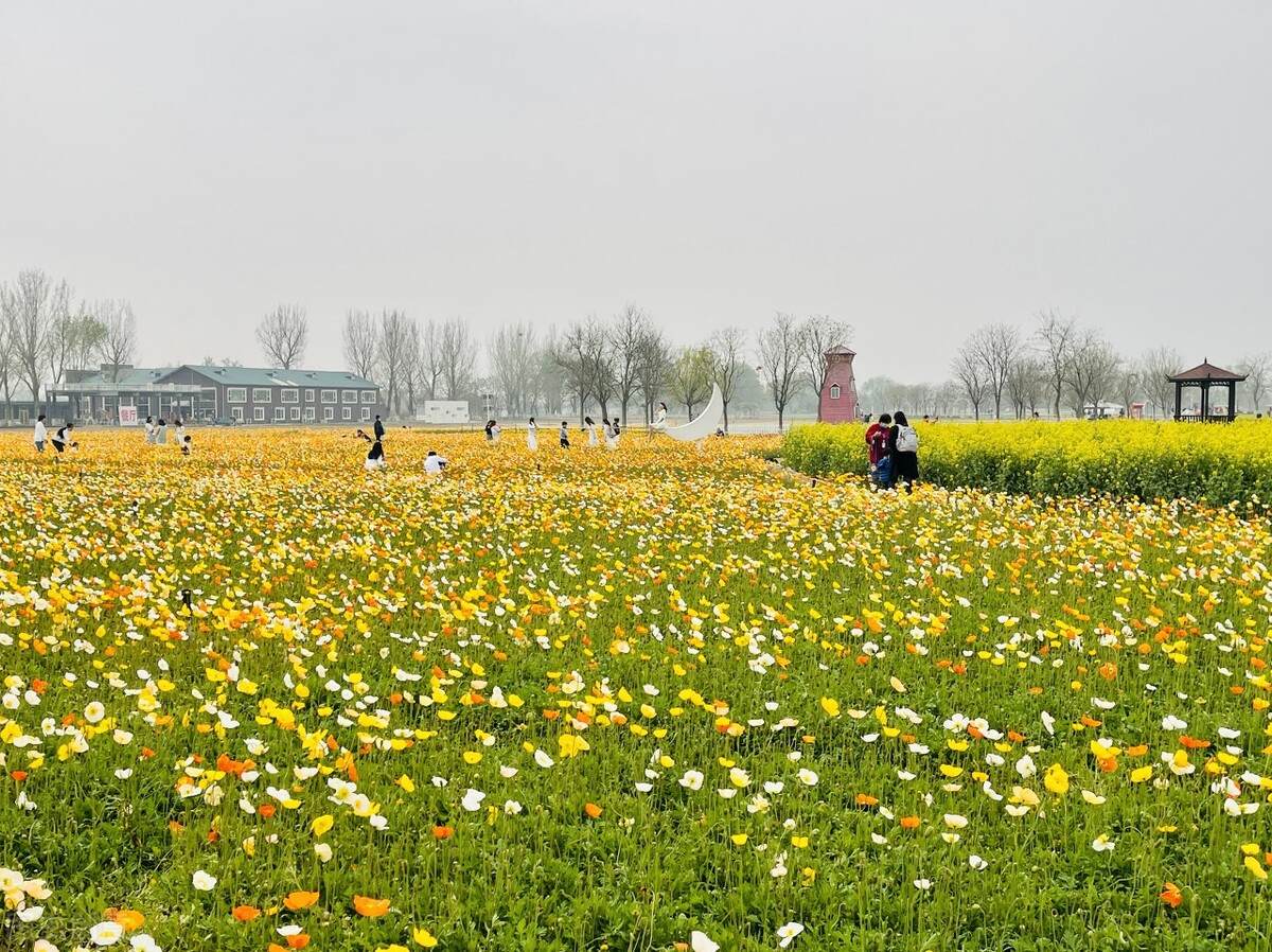 快插式滤芯好还是传统式滤芯好,一次性滤芯好还是可清洗滤芯好
