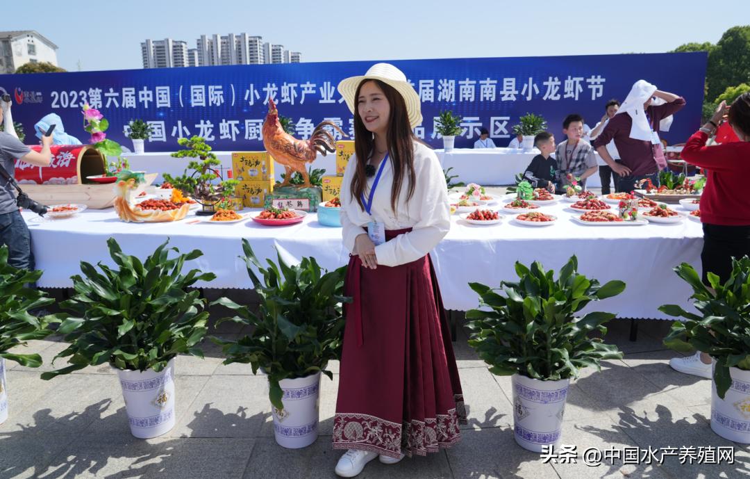 2023年南县小龙虾价格行情,南县小龙虾价格报价