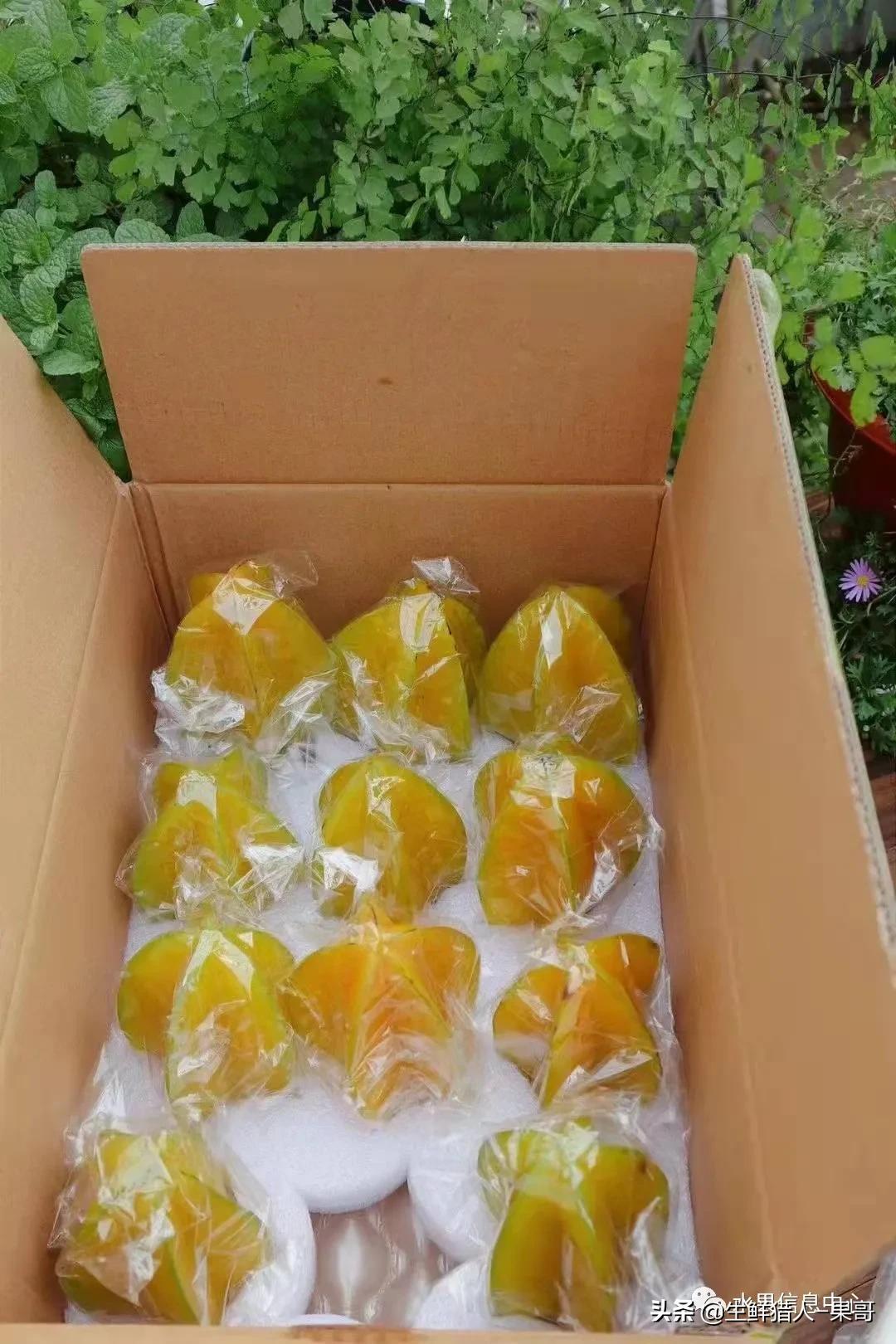 在水果中浆果是分哪几种,水果分类浆果