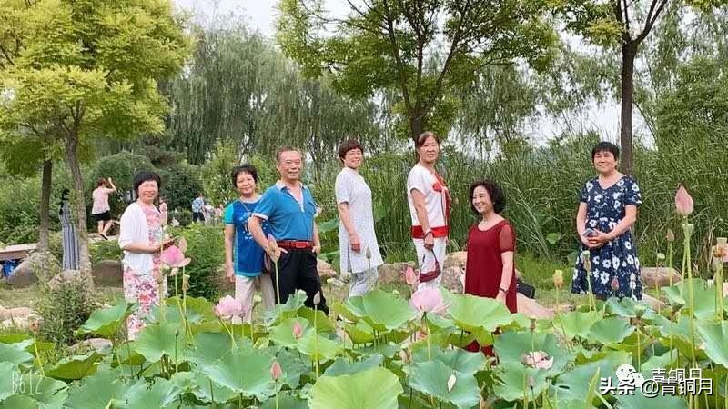 红楼梦三十七回精读,解密红楼梦第三十六回