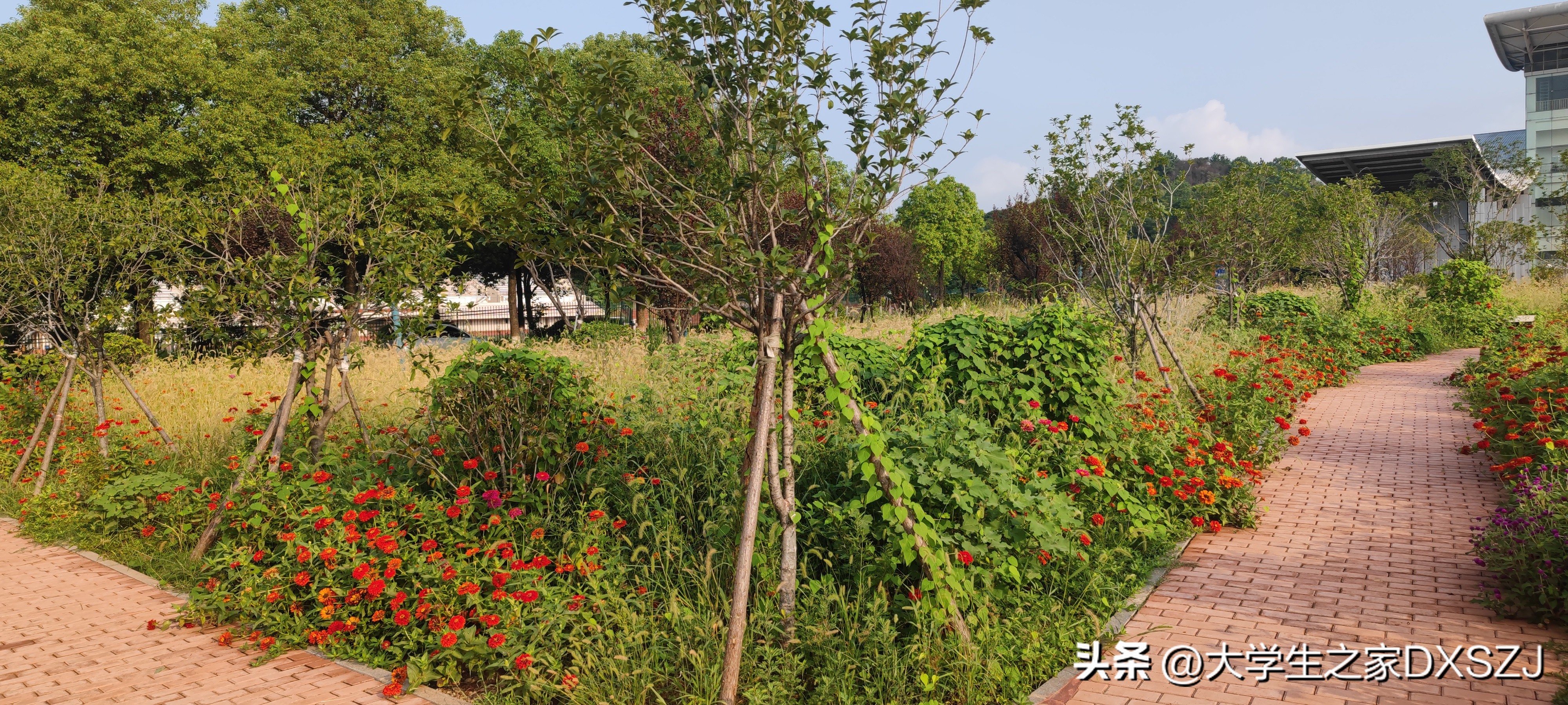 校园生活-长沙理工大学云塘校区图文实录