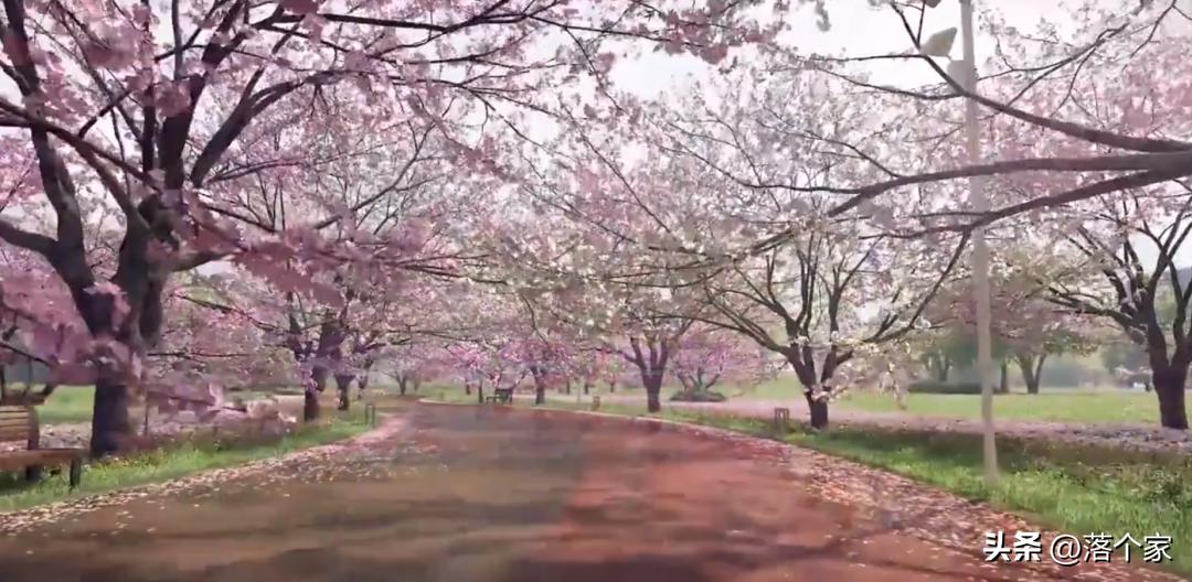 张家浜楔形绿地预计房价,张家浜楔形绿地开盘价