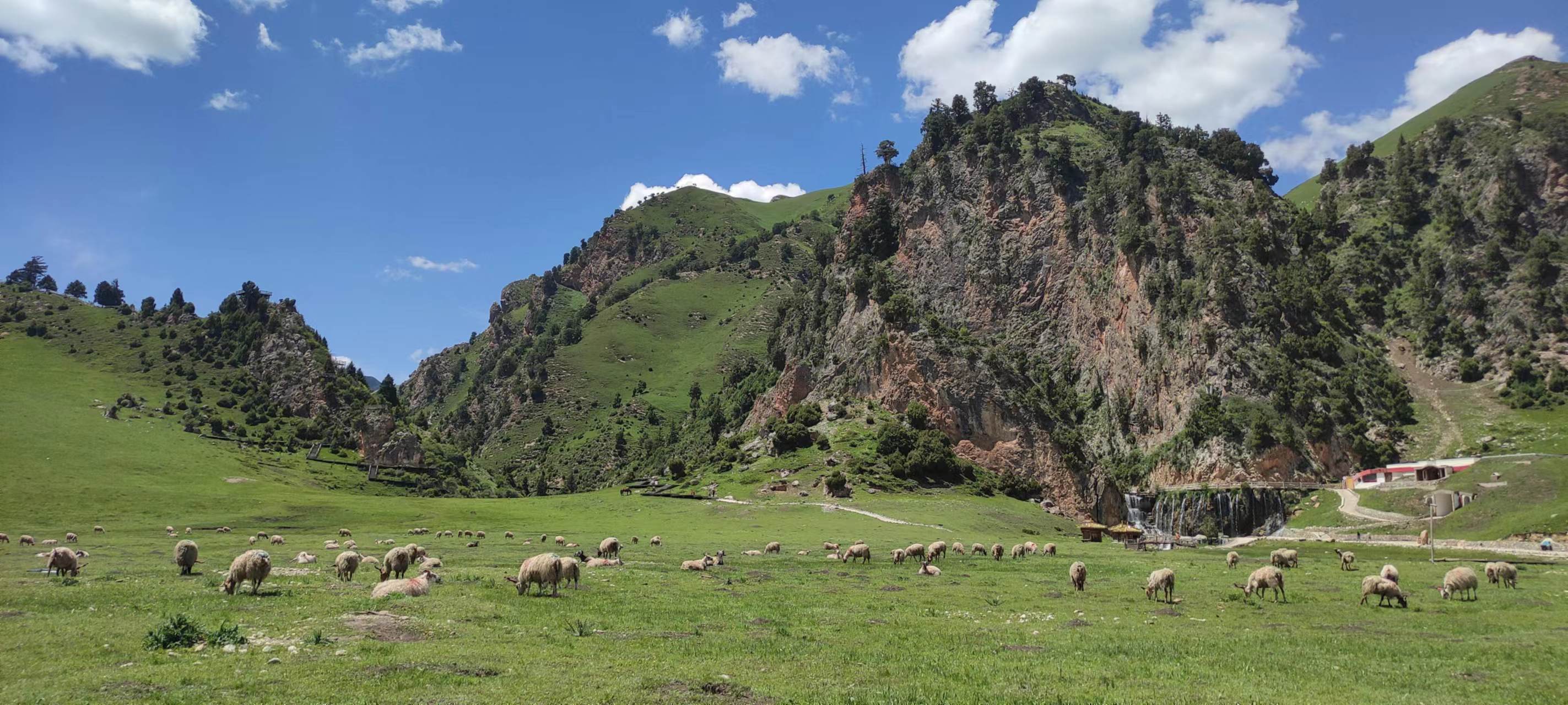 鑻ュ皵鐩栨俯娉夎胺闂ㄧエ,鑻ュ皵鐩栬姳婀栨俯娉夎胺