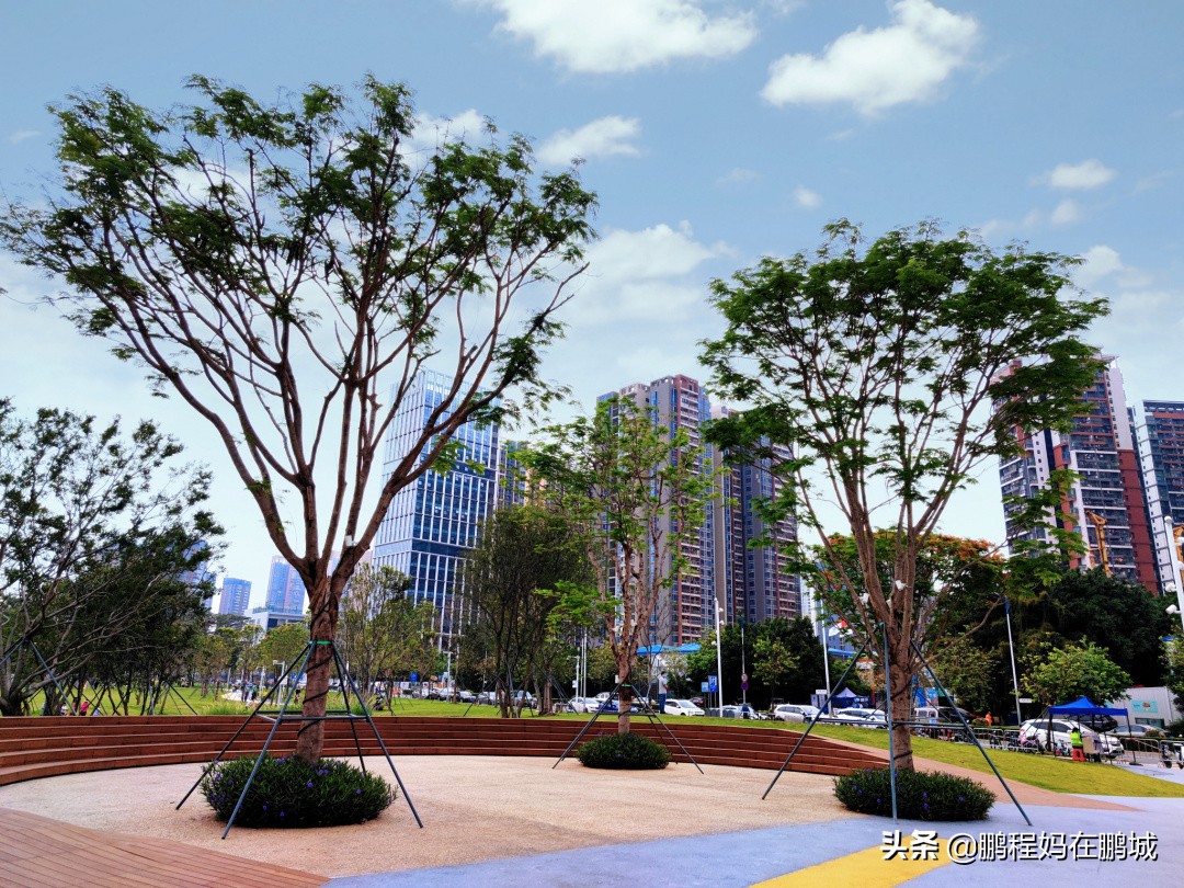 深圳龙华区观澜中心公园,龙华观澜中心公园