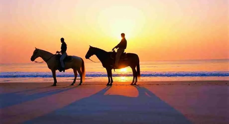 2023华杯赛夏令营,华誉外交官夏令营