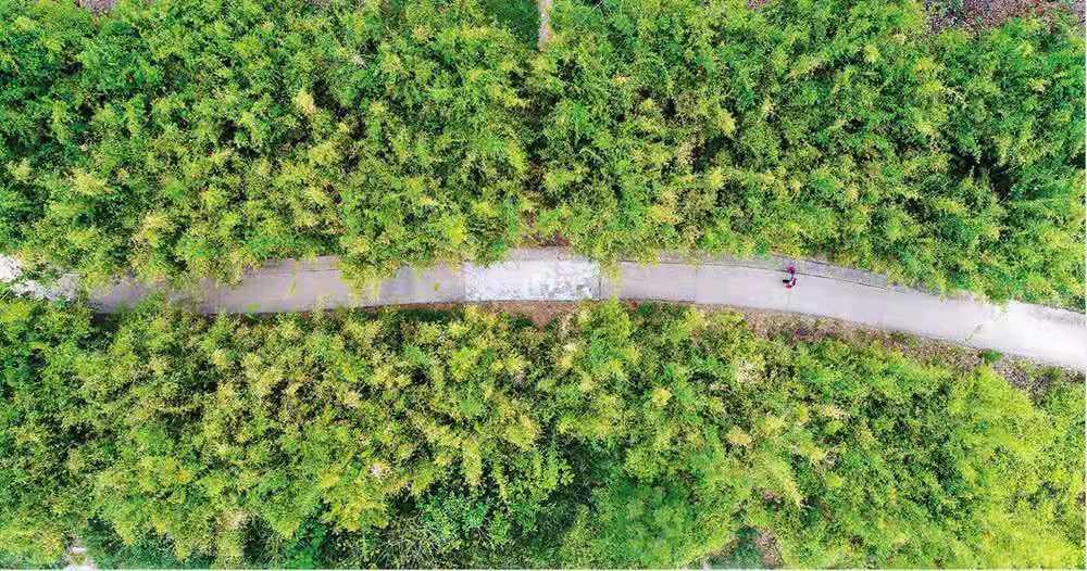 惠州周边踏青好去处推荐来啦,惠州18公里环湖绿道攻略